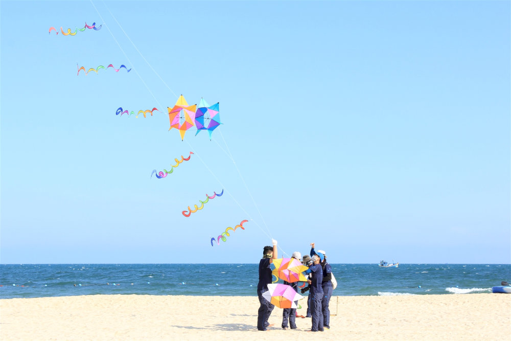 Tham gia thả diều ở biển Cửa Lò